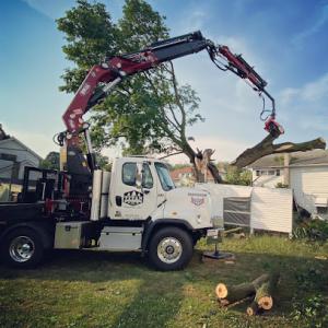 Titan Tree Service
