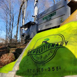 Revolutionary Tree Care