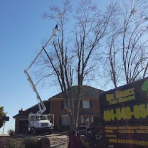 One Source Tree Service