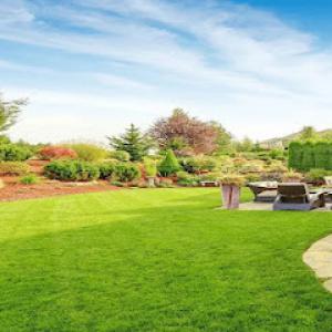Green Life Lawn Care Services