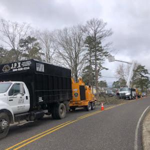 JPX Tree Service