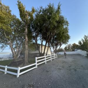 All Pros Tree Service