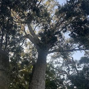 Tucker Enterprise Services