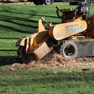 Brown's Stump Removal