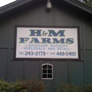 H & M Farms