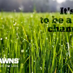 U.S. Lawns - Knoxville