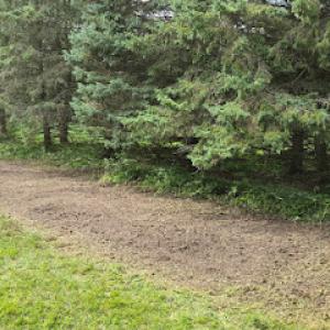 Backyard Rehab & Property Maintenance