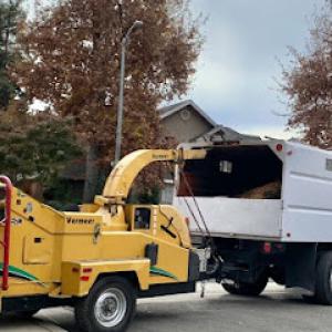 George's Tree Service