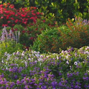 Fox Outdoor Solutions