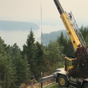Tree & Landscape Services