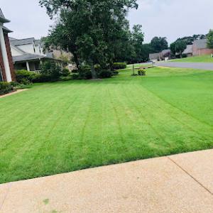 Blessed Hands Landscaping & Cleaning Service