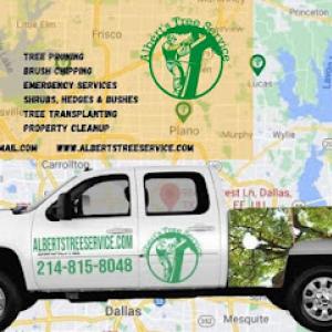Albert Tree Service
