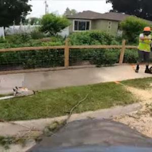 Tree Service Boss of Allen