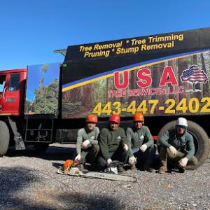 USA Tree Services