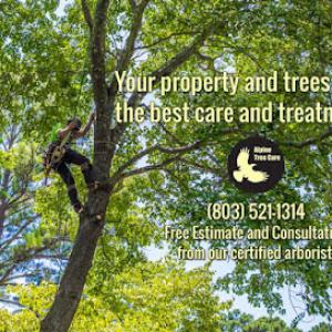 Alpine Tree Care