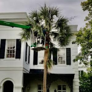 First Choice Tree Care