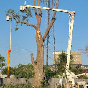 One of a Kind Tree Services