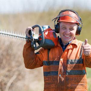 Tree Service Walnut Creek