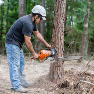 Good Morrow Land Services