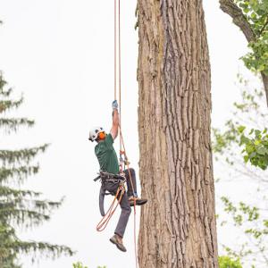 The Davey Tree Expert Company