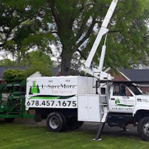 U-Savemore Tree Service