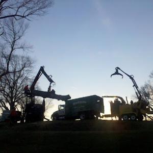 Marquis Tree Service
