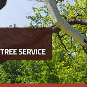 Vital Tree Service