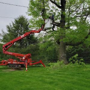 BetterScapes Lawn, Shrub & Tree Care