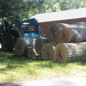 American Tree Service