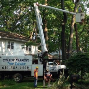 Charlie Nansteel Tree & Excavation