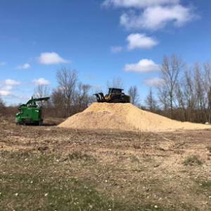 Clemons Tree Service