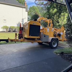 C & J Tree & Landscaping