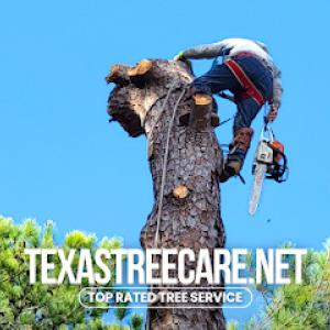 Texas Tree Care
