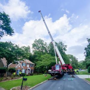 Prime Arbor Tree Specialists