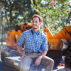 Stump Grinding Cheap