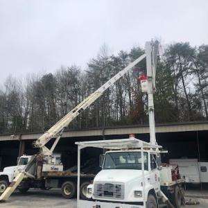 Paul Bunyan Tree Service