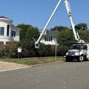 Superior Arbor Care - Tree Service
