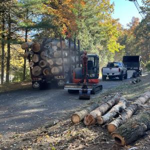 HD Tree Services & Landscaping