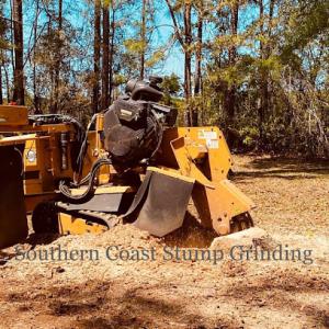 Southern Coast Stump Grinding
