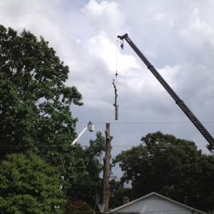 Hultgren Tree Service
