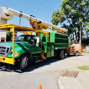 AG & B Professional Tree Service
