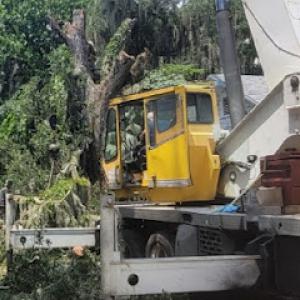 Higher Reach Tree Service