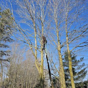 Oaks Stump Grinding & Dirt Works