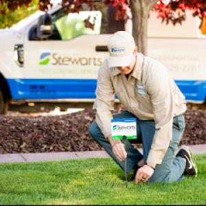 Stewart's Lawn Care & Pest Control