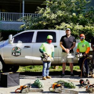 A-Ok Tree Service
