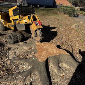 Roberto Stump Grinding