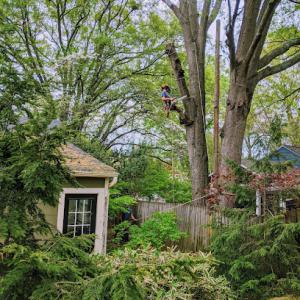 Integrity Tree