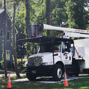 JLO Tree Service