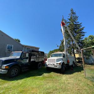 D&B diversified services