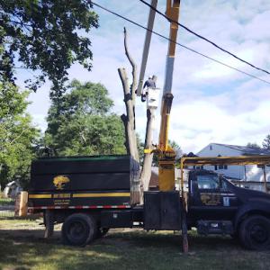 Ruby's Tree Service